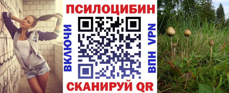 Купить где  Верхняя Салда  Псилоцибиновые грибы прущие грибы 